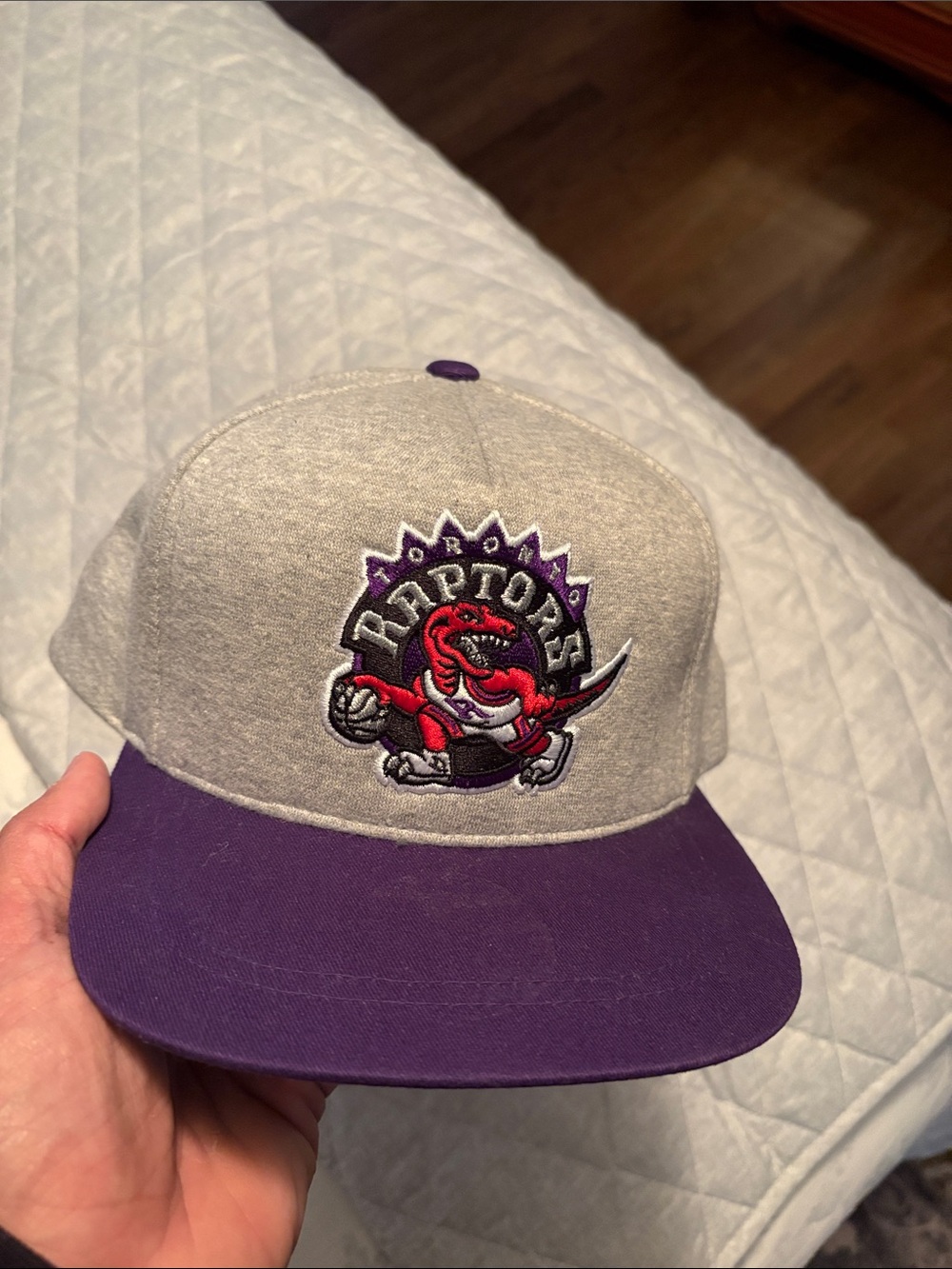 Mitchell & Ness Grey and Purple Toronto Raptors Snapback